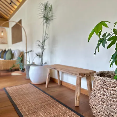 Bobos Villa Echo Canggu Exterior foto