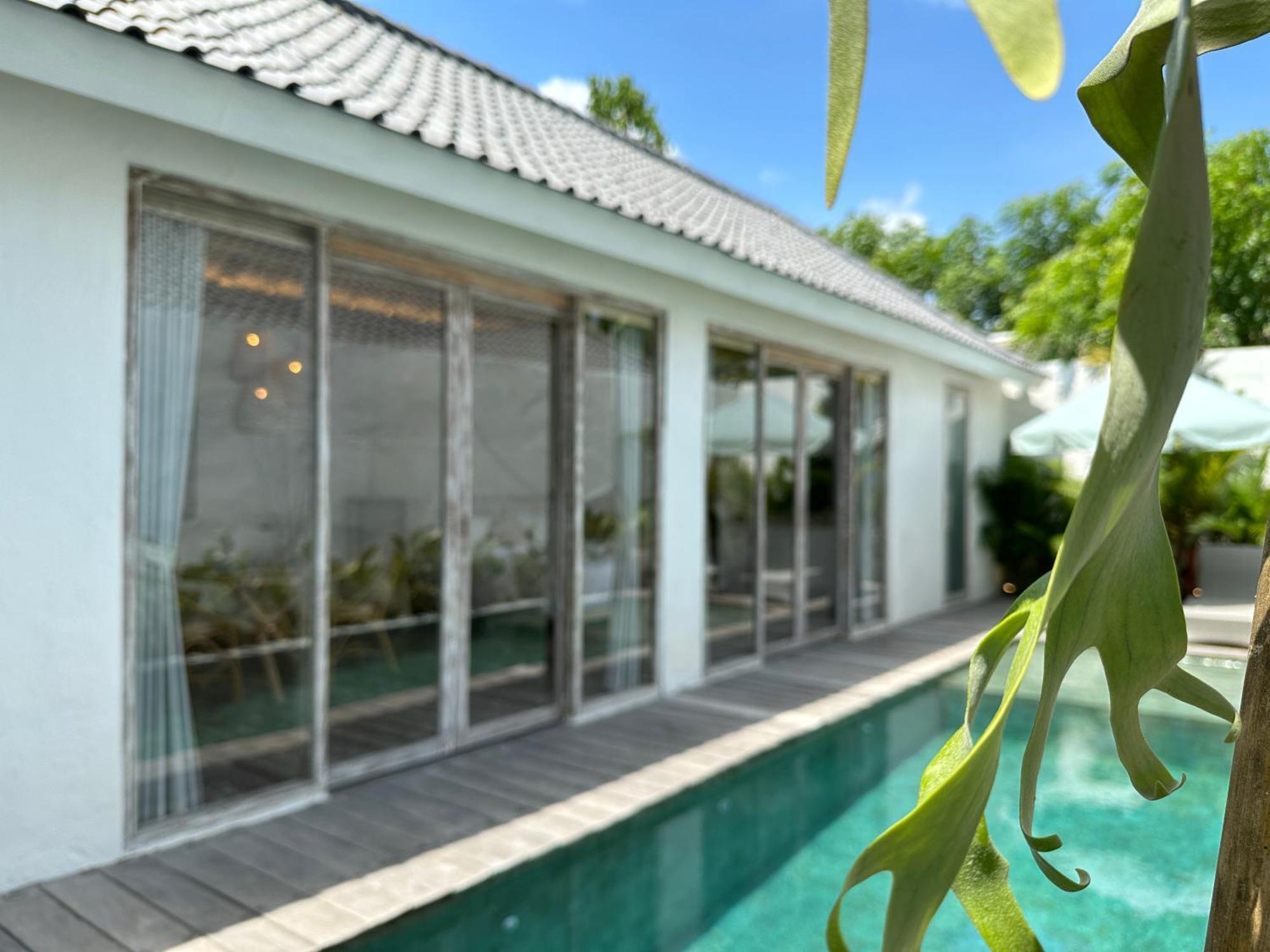 Bobos Echo Villa Canggu